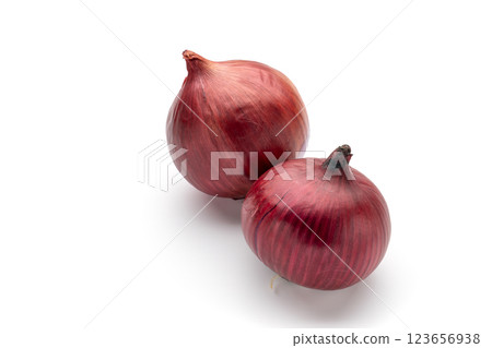 紅蔥頭 紅蔥頭 123656938