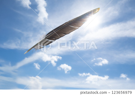 Crow feathers, blue sky and light Crow feathers, blue sky and light 123656979