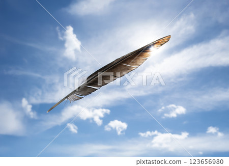 Crow feathers, blue sky and light Crow feathers, blue sky and light 123656980