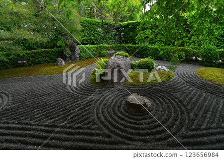 妙心寺退藏院：陰陽花園 123656984