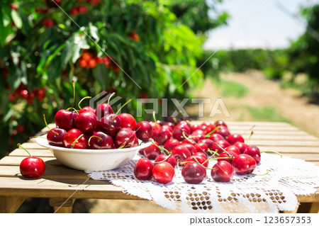 White bowl filled with ripe cherries 123657353