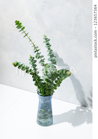 Blue glass vase with eucalyptus branches on light concrete background with sunlight. 123657364