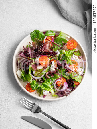 Vegetable salad (Greek salad) with cherry tomatoes, feta cheese, lettuce, olives and red onion Vegetable salad (Greek salad) with cherry tomatoes, feta cheese, lettuce, olives and red onion 123657371