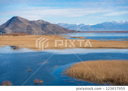 View of Skadar Lake with reeds on mountains background in winter, Montenegro View of Skadar Lake with reeds on mountains background in winter, Montenegro 123657950