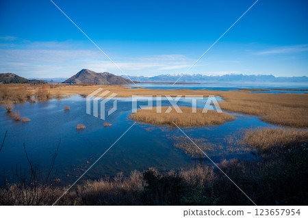 View of Skadar Lake with reeds on mountains background in winter, Montenegro 123657954
