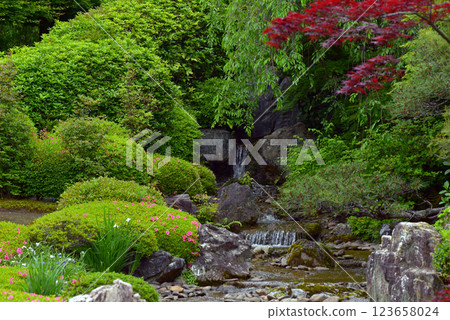 妙心寺退藏院橫光園 123658024