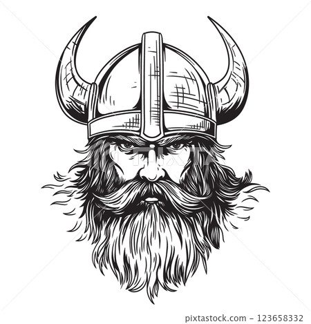 Viking in a helmet 123658332