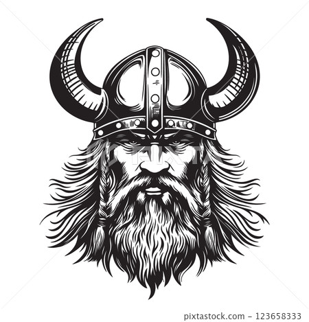 Viking in a helmet 123658333
