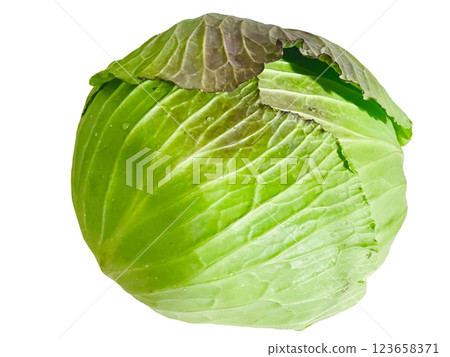 Whole cabbage Whole cabbage 123658371