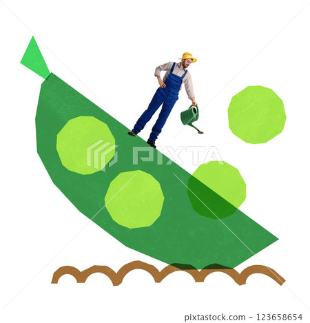 Man in overalls watering gigantic green pea pod, with peas against white background. Artistic gardening collage Man in overalls watering gigantic green pea pod, with peas against white background. Artistic gardening collage 123658654