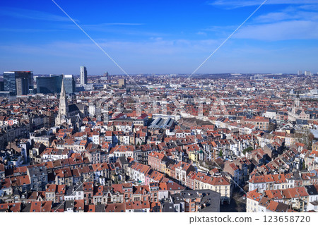 Aerial view on the north of Brussels by clear blue sky Aerial view on the north of Brussels by clear blue sky 123658720