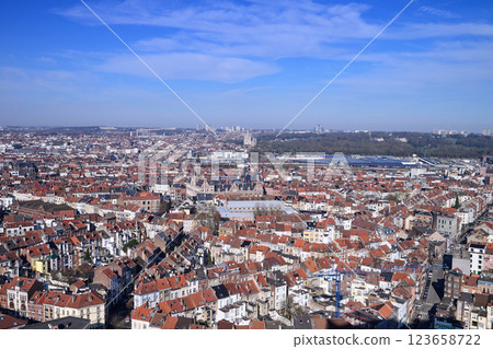 Aerial view on the north of Brussels by clear blue sky 123658722