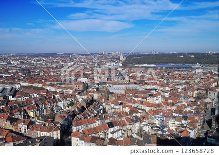 Aerial view on the north of Brussels by clear blue sky 123658728