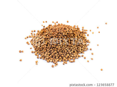 Coriander Seeds Isolated, Cilantro Grains, Chinese Parsley Seed Group, Dry Spices, Seasonings Coriander Seeds Isolated, Cilantro Grains, Chinese Parsley Seed Group, Dry Spices, Seasonings 123658877