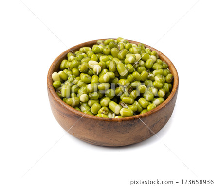Soaked Mung Beans, Wet Vigna Radiata Seeds Pile, Macro Photo of Green Gram in Water Soaked Mung Beans, Wet Vigna Radiata Seeds Pile, Macro Photo of Green Gram in Water 123658936