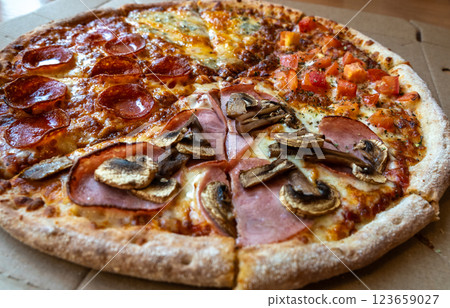 Four Seasons Pizza, Quattro Stagioni with 4 Types of Toppings with Salami, Tomato, Mushrooms,Meat Four Seasons Pizza, Quattro Stagioni with 4 Types of Toppings with Salami, Tomato, Mushrooms,Meat 123659027
