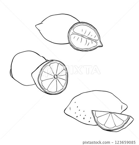 Lemon composition set. Graphic line ink vector illustration Hand drawn with slices  black and white drawing isolated on white 123659085
