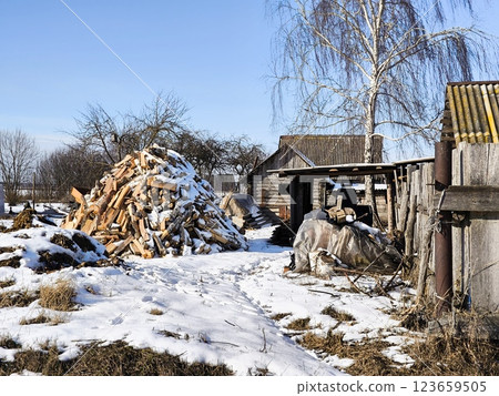 Rural landscape chopped firewood covered with snow. Firewood pile covered with snow, preparing firewood for winter. Rural landscape chopped firewood covered with snow. Firewood pile covered with snow, preparing firewood for winter. 123659505