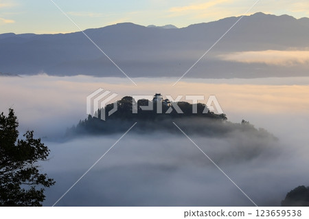 在天空中的城堡 123659538