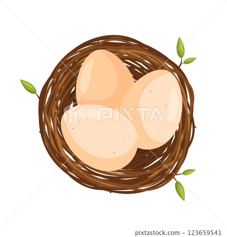 Three eggs in the bird nest. View from above. Vector illustration in flat cartoon style. 123659541