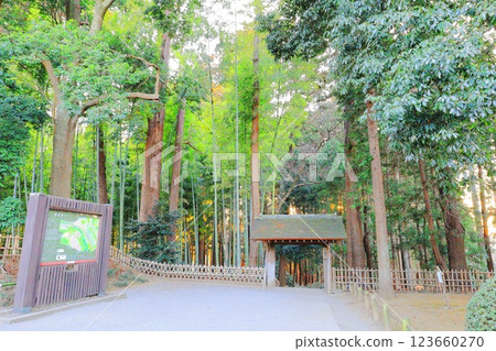 Kairakuen Ichinokido and Moso Bamboo Forest Osugimori / Mito City, Ibaraki Prefecture 123660270