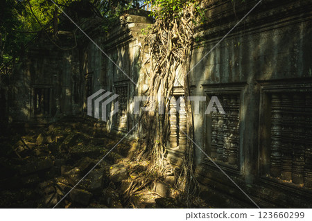 柬埔寨本梅利亞遺址 123660299