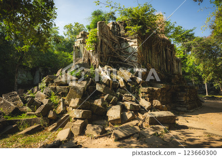 Cambodia Ben Melia ruins 123660300