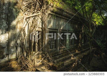Cambodia Ben Melia ruins Cambodia Ben Melia ruins 123660303