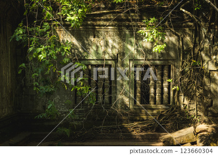 Cambodia Ben Melia ruins 123660304