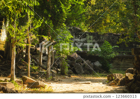 柬埔寨本梅利亞遺址 123660313