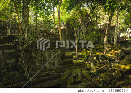 Cambodia Ben Melia ruins 123660314