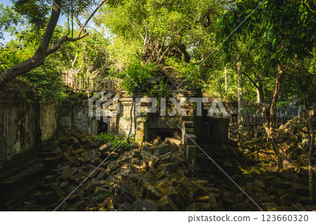 Cambodia Ben Melia ruins 123660320