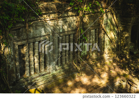 柬埔寨本梅利亞遺址 123660322