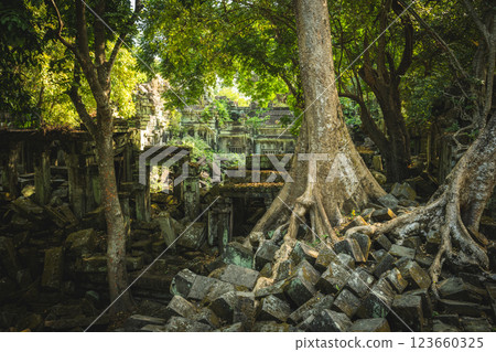 Cambodia Ben Melia ruins 123660325