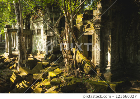 柬埔寨本梅利亞遺址 123660327