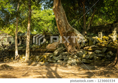 柬埔寨本梅利亞遺址 123660334