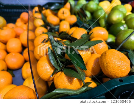 Ripe tangerines on the counter in the store. Juicy tangerines with green leaves 123660466