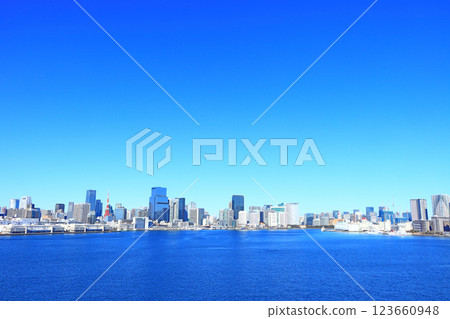 Minato-ku, Tokyo, Tokyo cityscape and Tokyo Tower scenery 123660948