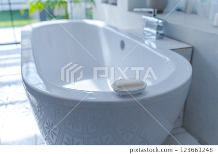 浴室香皂 123661248
