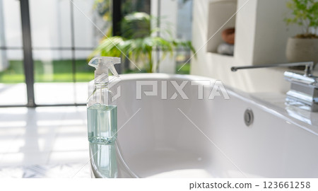 Cleaning the bath 123661258