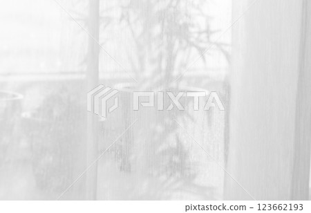 Sunlight on curtain, blurred shadow tulle background, sheer curtains, silk veil fabric 123662193