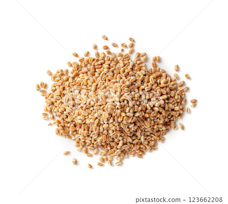 Wheat Grains, Barley Pile, Dry Cereal Seeds, Wheat Grains Heap on White 123662208