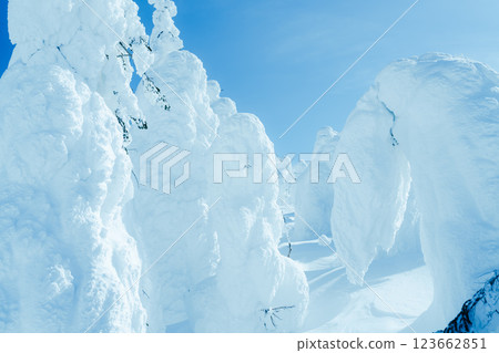 Beautiful frost-covered trees at Zao, Yamagata Beautiful frost-covered trees at Zao, Yamagata 123662851