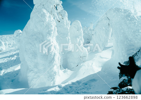 Beautiful frost-covered trees at Zao, Yamagata 123662898