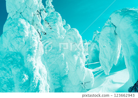 Beautiful frost-covered trees at Zao, Yamagata Beautiful frost-covered trees at Zao, Yamagata 123662943