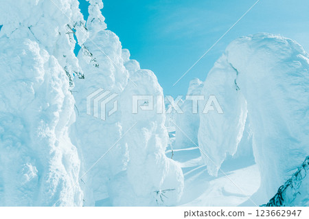 Beautiful frost-covered trees at Zao, Yamagata Beautiful frost-covered trees at Zao, Yamagata 123662947