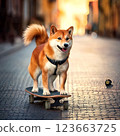 A Shiba Inu enjoying skateboarding in the city 123663725