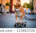 A Shiba Inu enjoying skateboarding in the city 123663726
