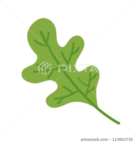 Illustration of a leaf in geometric shape with green veins, icon or logo or symbol, eco-friendly concept 123663730