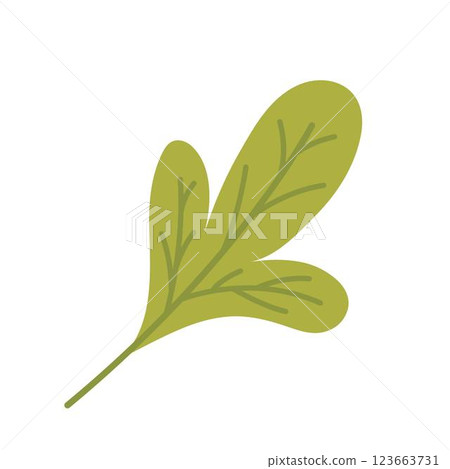 幾何形狀的葉子的插畫,綠色脈絡,圖標或標誌或符號,生態友善的概念 123663731